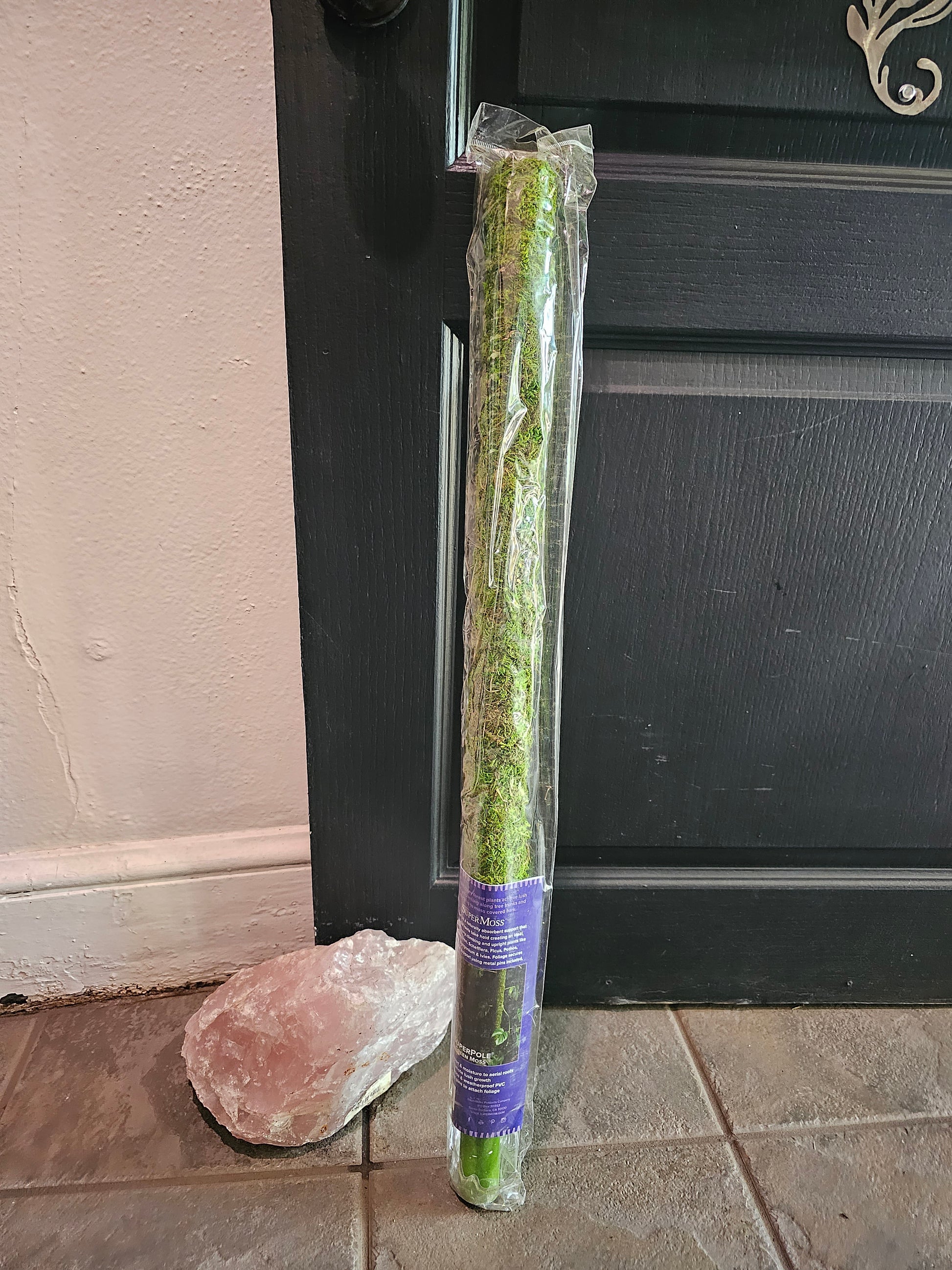 super moss pole SuperMoss Moss Pole – Chlorophyll