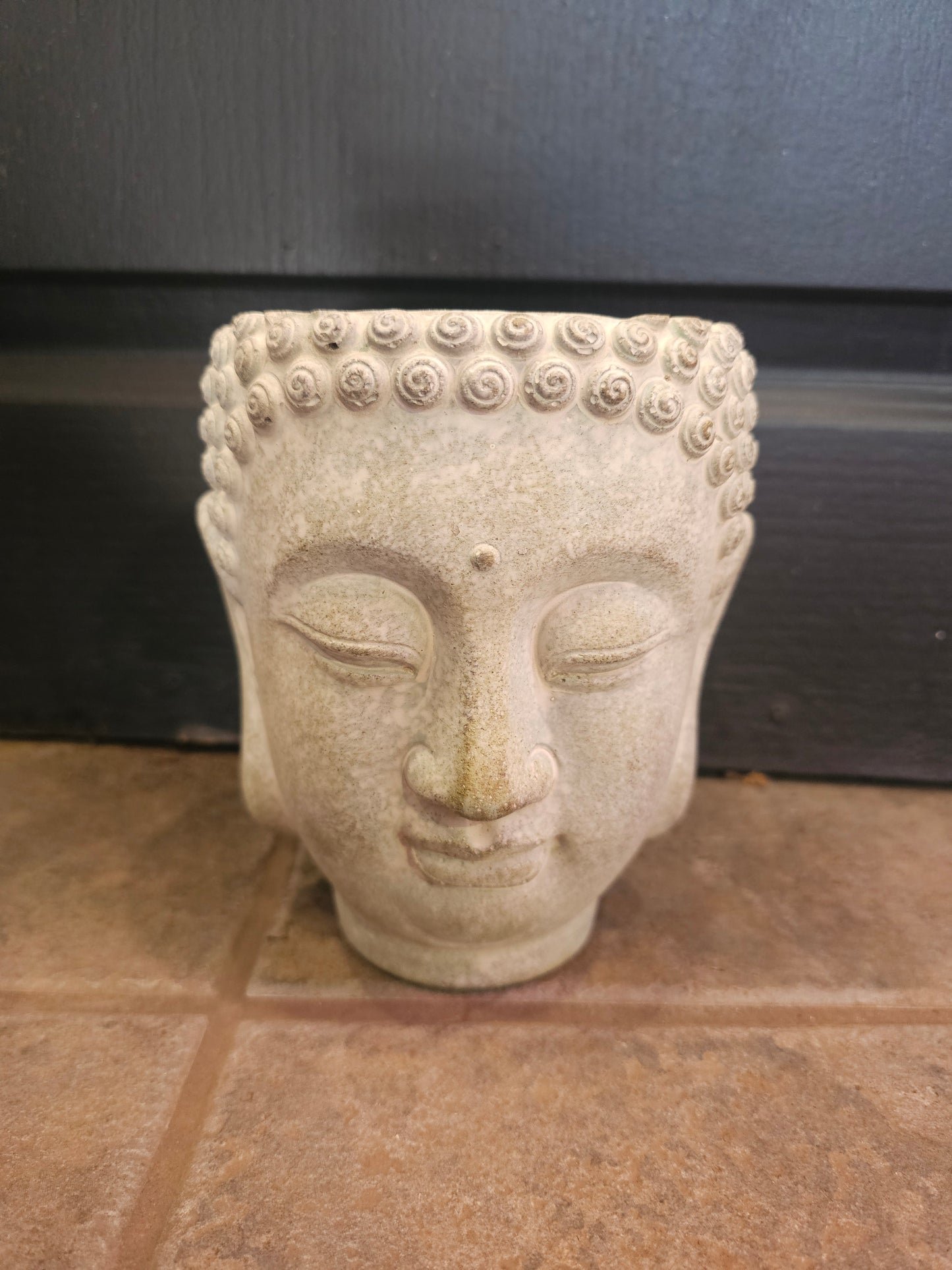 Buddha Head Planter