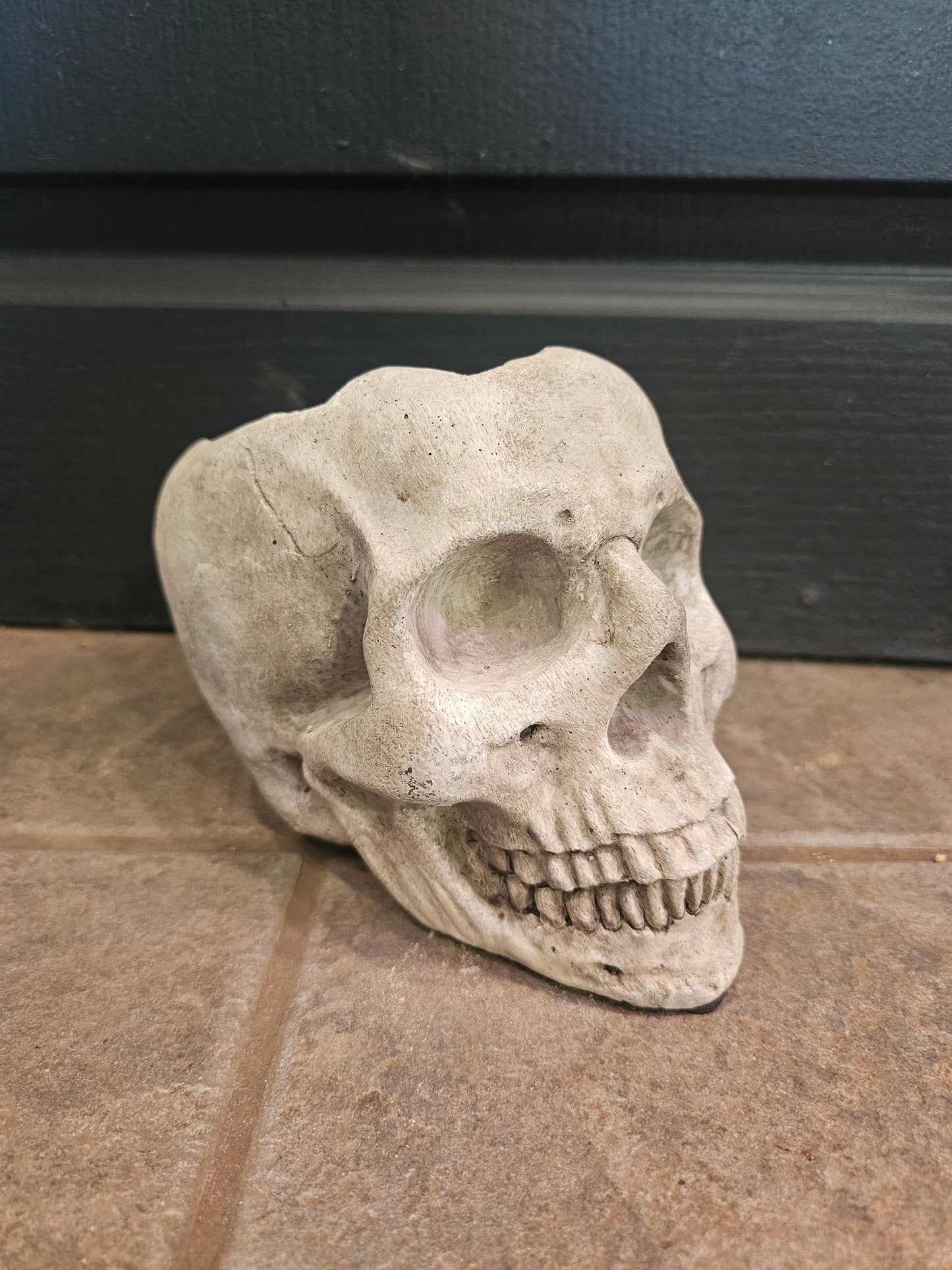 Cement Skull Planter
