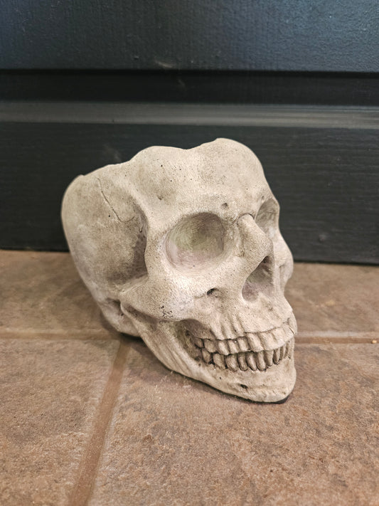 Cement Skull Planter