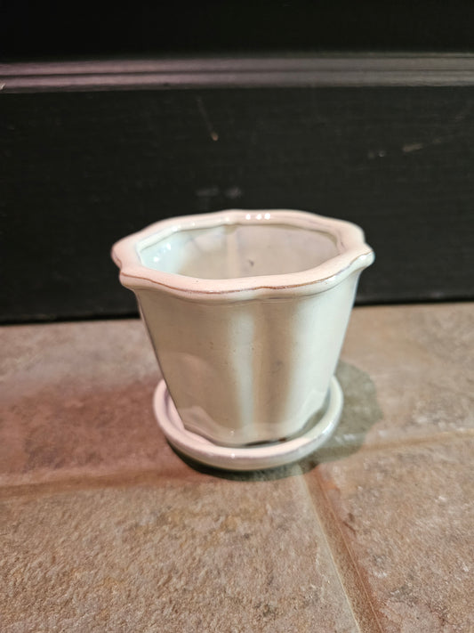 Tulip Pot 'Cream'