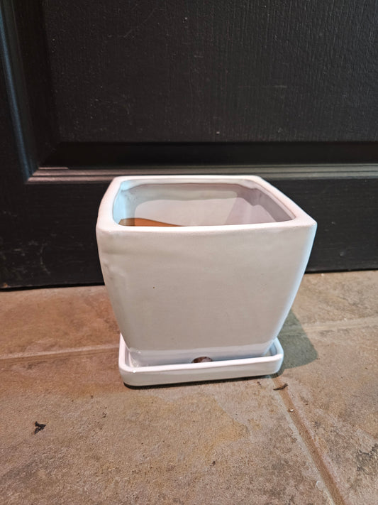 Box Pot 'White'