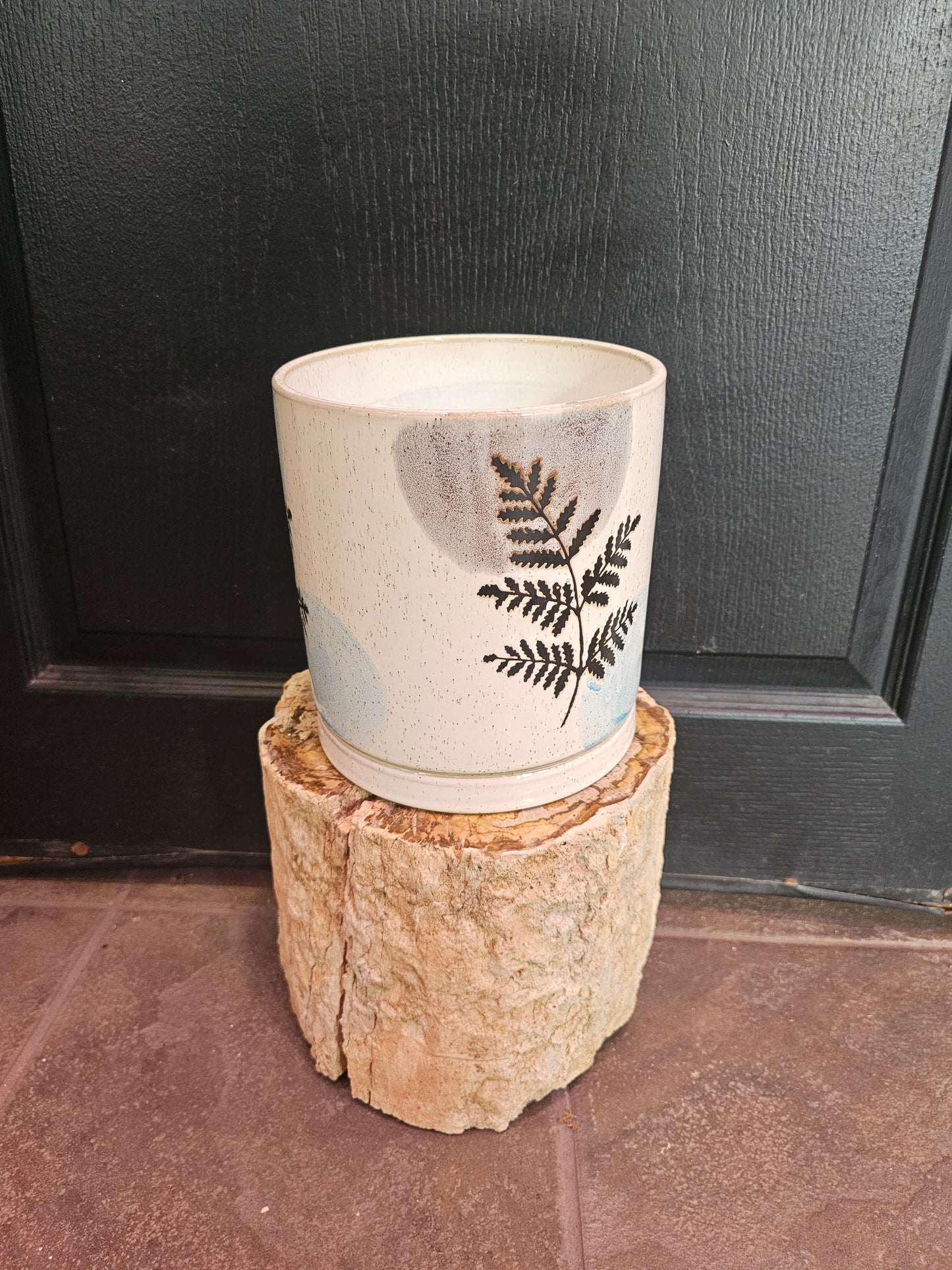 Fern Planter