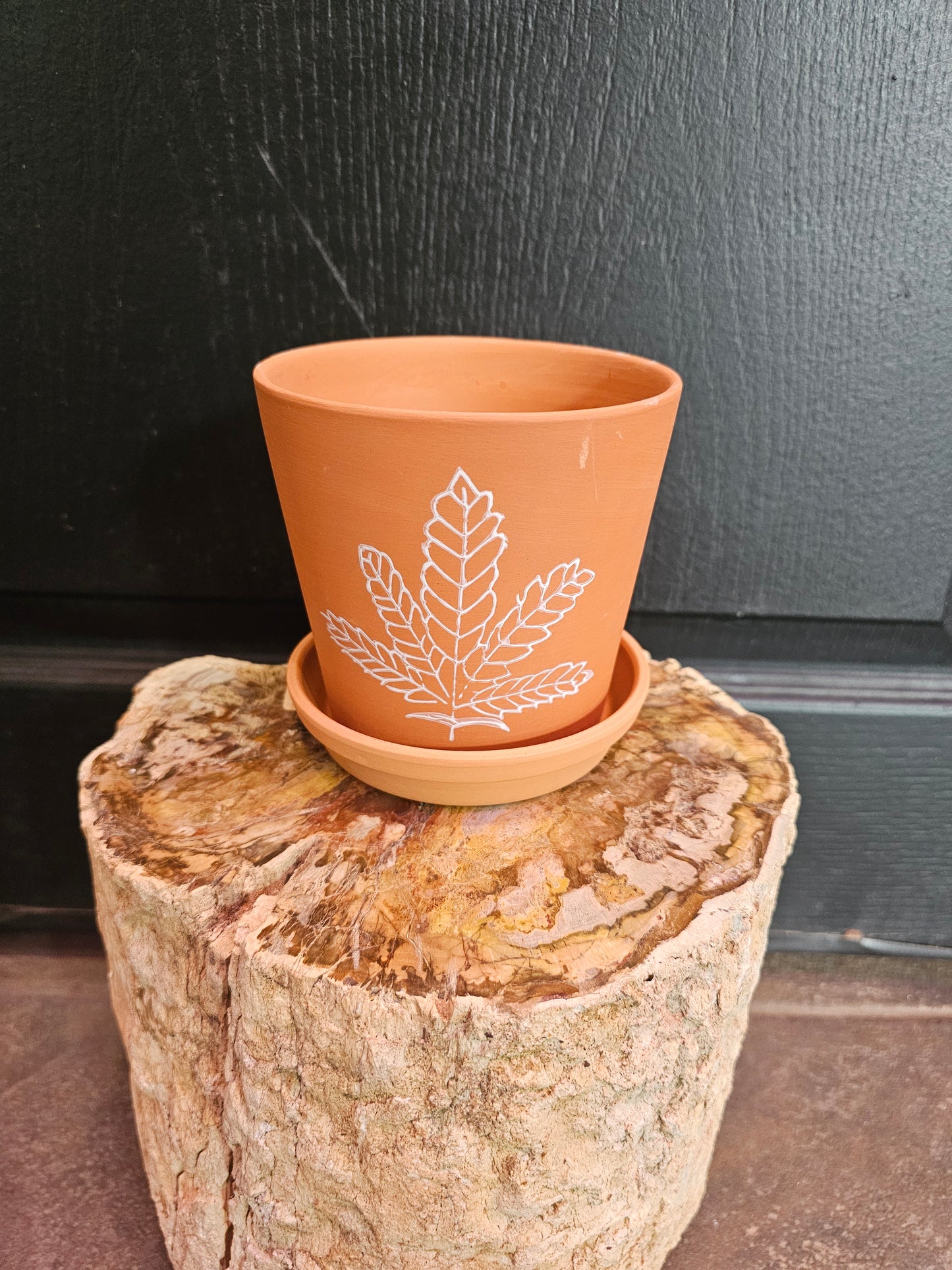 Terra Cotta Leaf Planter W / Saucer