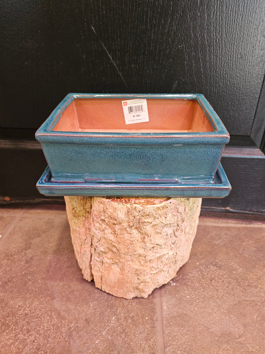 Bonsai Pot