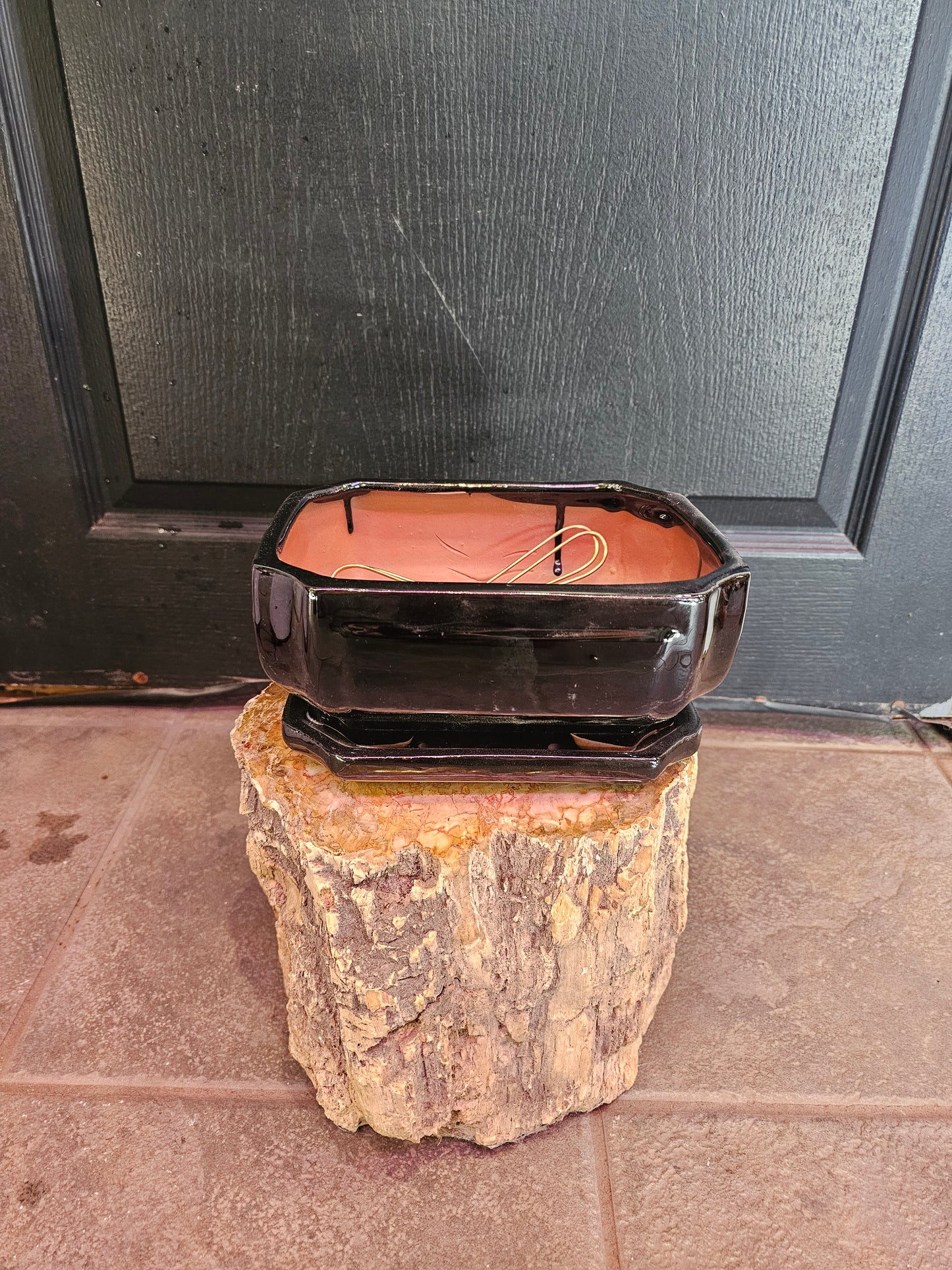 Bonsai Pot