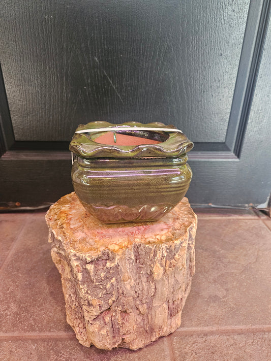 Decorative Self Watering Pot