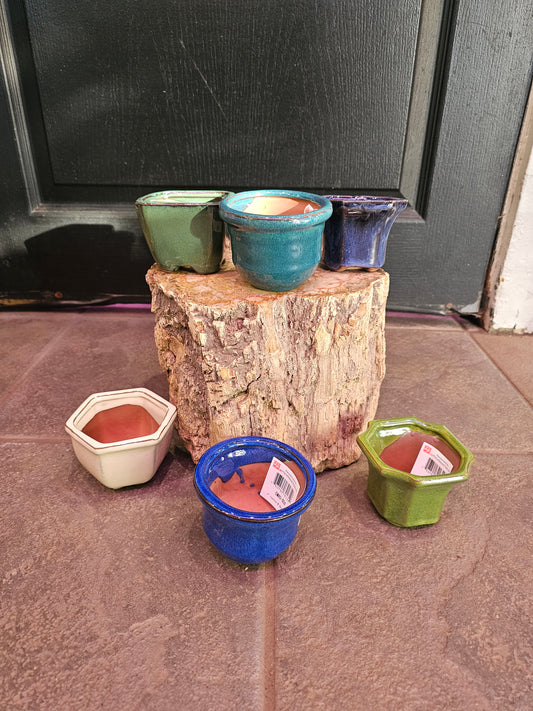 Cactus & Bonsai Pot