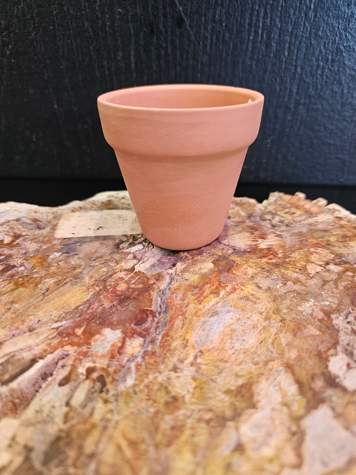Deroma Terra Cotta Azalea Clay Pot