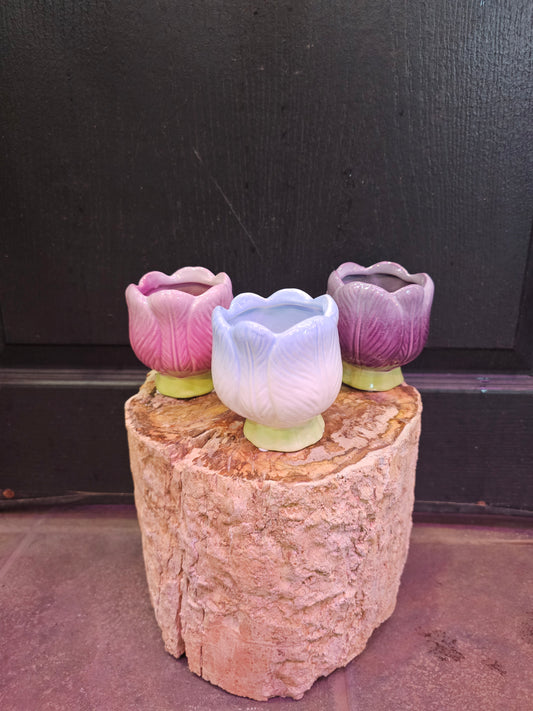 Tulip Planter
