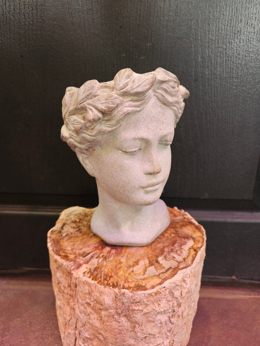 Aphrodite Head Planter