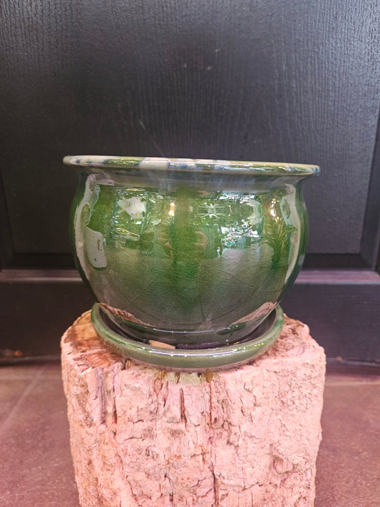 Fishbowl Fusion Planter 'Green'