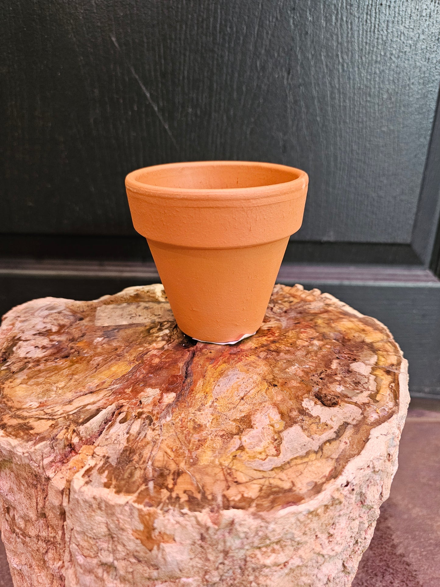 Deroma Terra Cotta Azalea Clay Pot