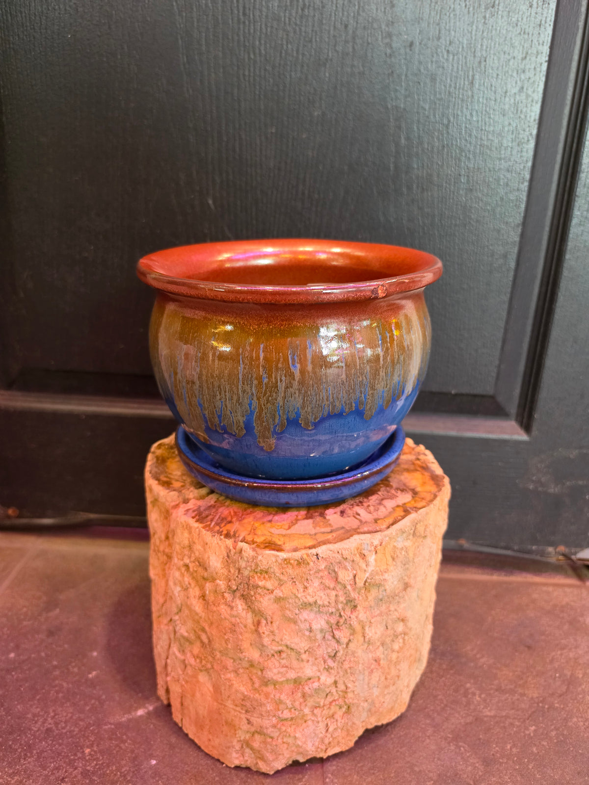 Fishbowl Fusion Planter 'Blue'