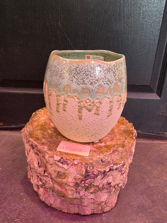 Debra Planter