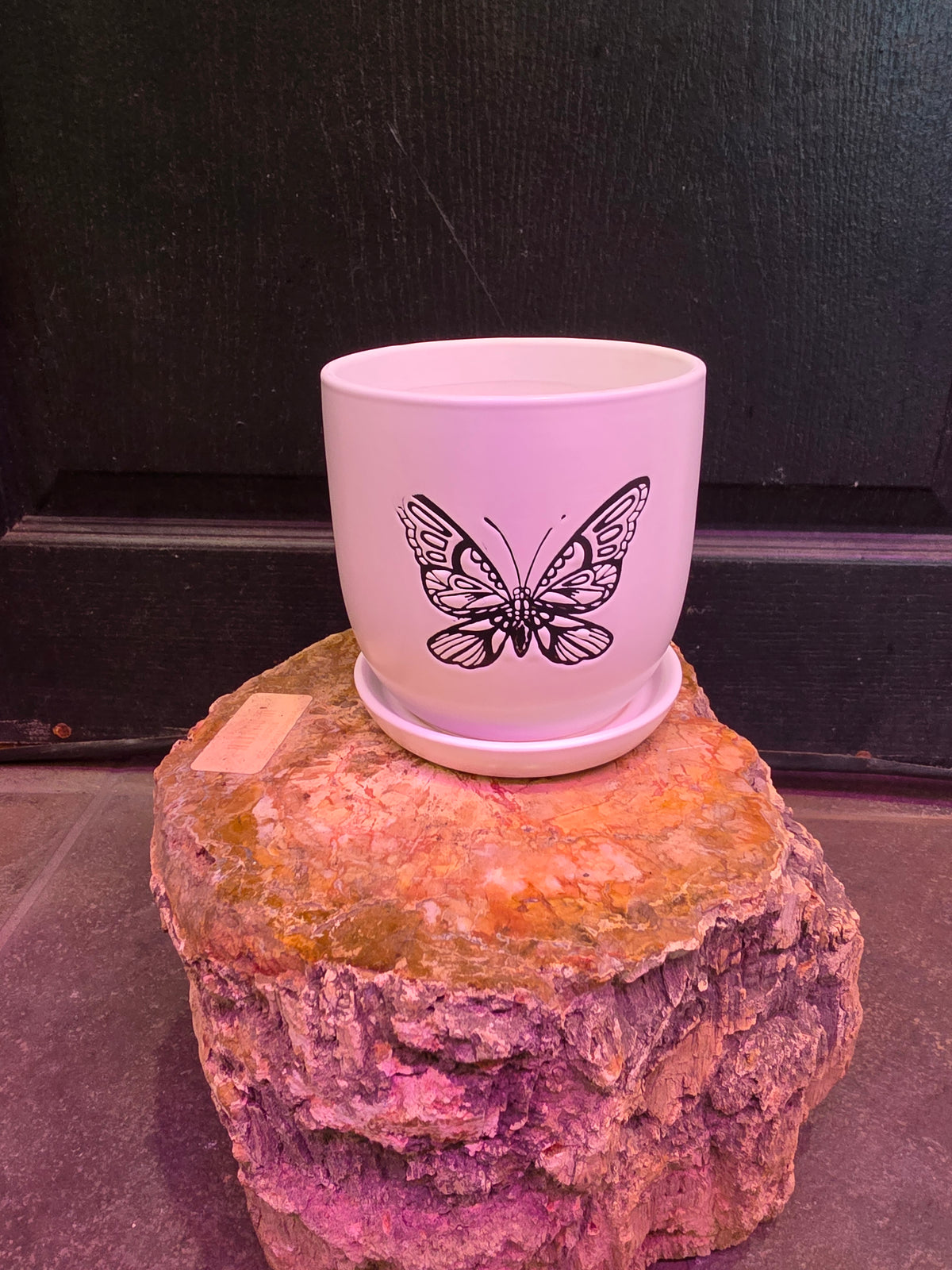 Flutter Planter
