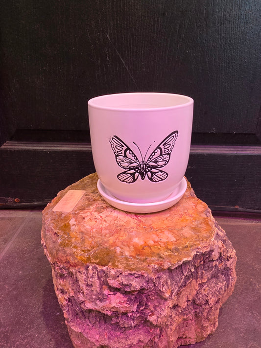 Flutter Planter