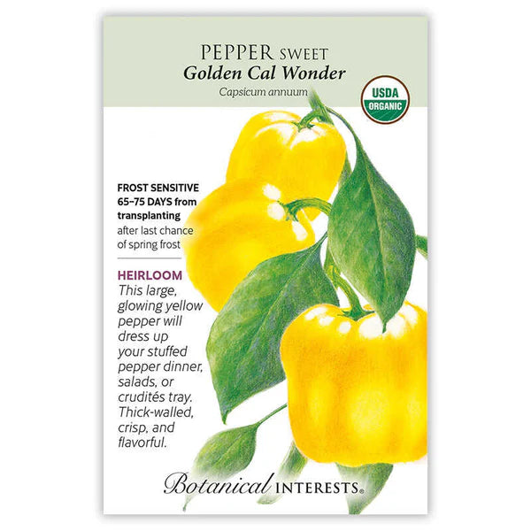 Pepper Sweet Yellow Golden Organic