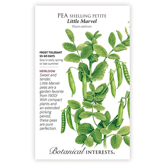 Pea Shelling Petite Little Marvel