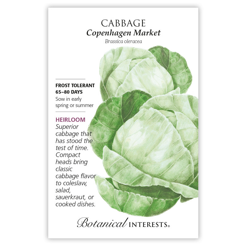 Cabbage Copenhagen Market