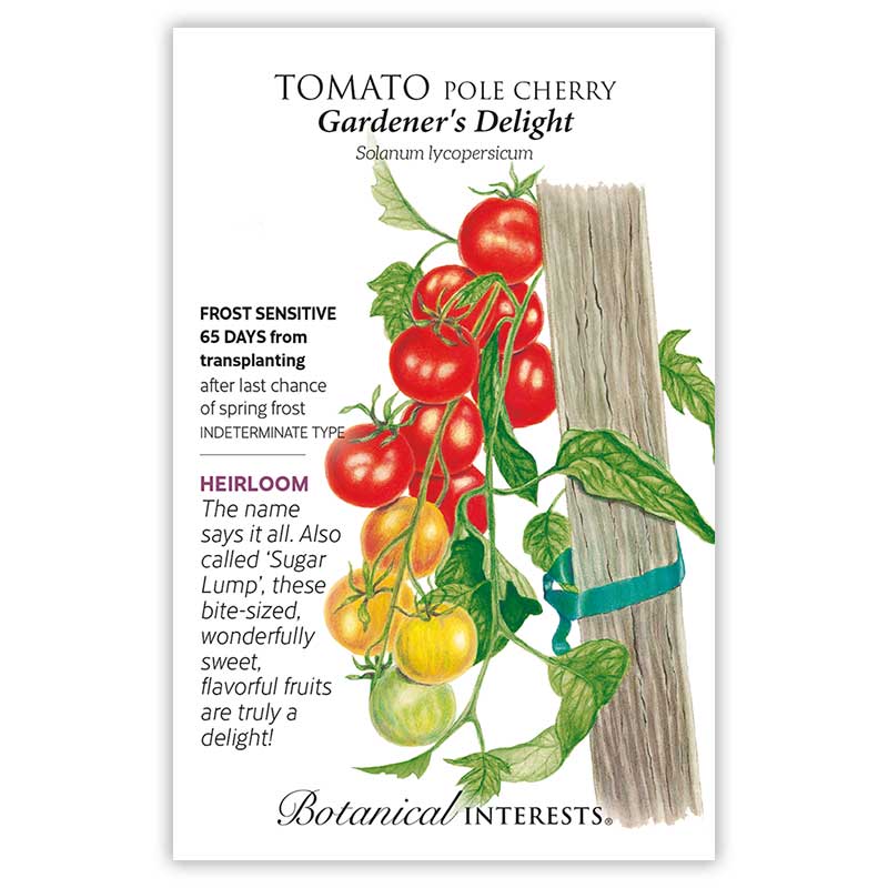 Tomato Cherry Gardener's Delight