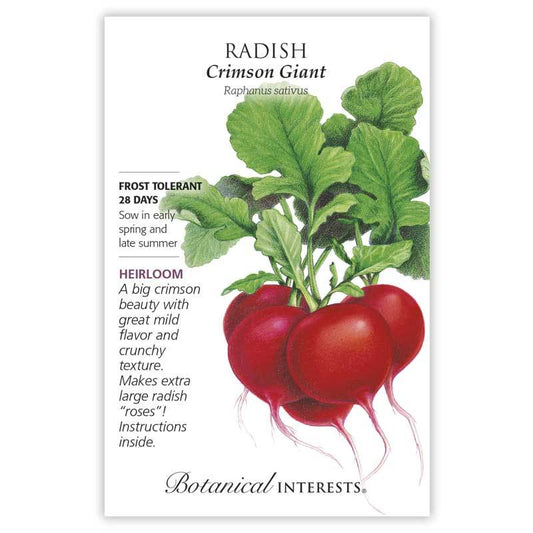 Radish Crimson Giant