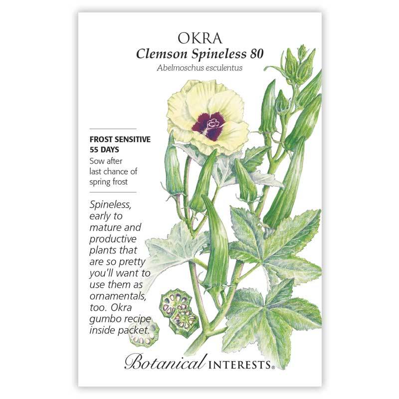 Okra Clemson Spineless 80