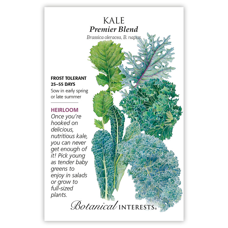 Kale Premier Blend