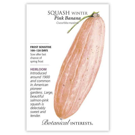 Squash Water Pink Banana