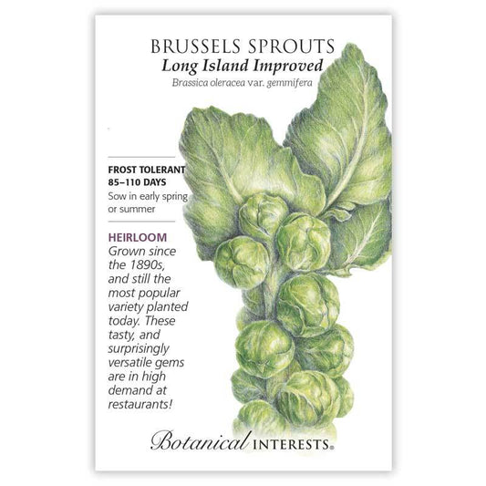 Brussels Sprouts Long Island Imp