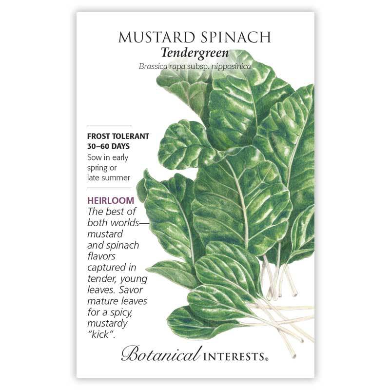 Mustard Spinach Tendergreen