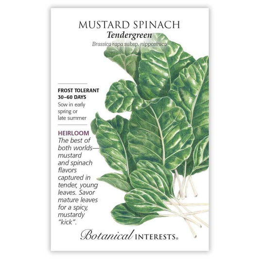 Mustard Spinach Tendergreen