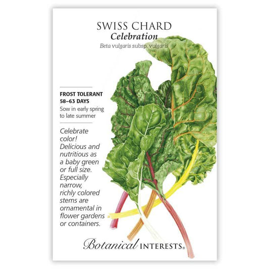 Swiss Chard Celebration