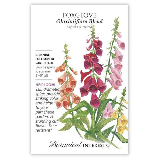 Foxglove Gloxiniiflora Blend