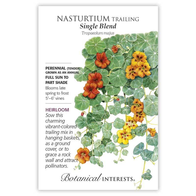 Nasturtium Trailing Single Blend