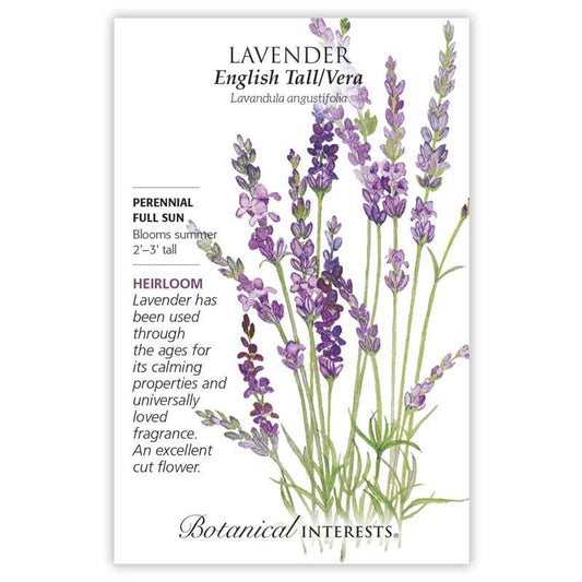 Lavender English Tall/Vera