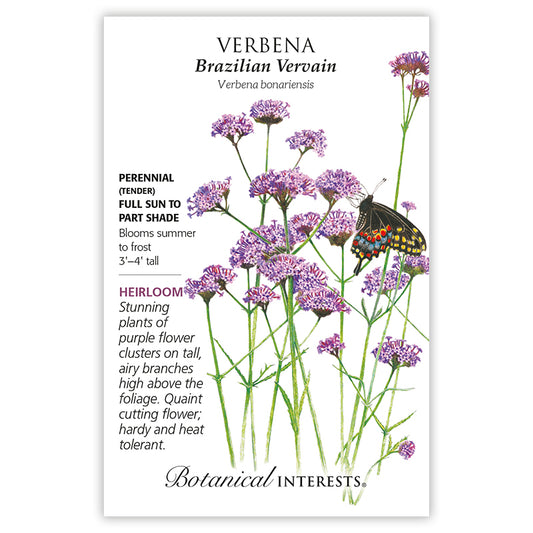 Verbena Brazilian Vervain