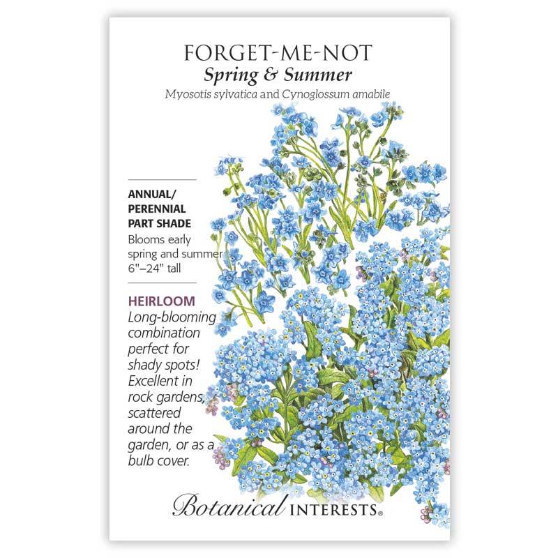 Forget-Me-Not Spring and Summer