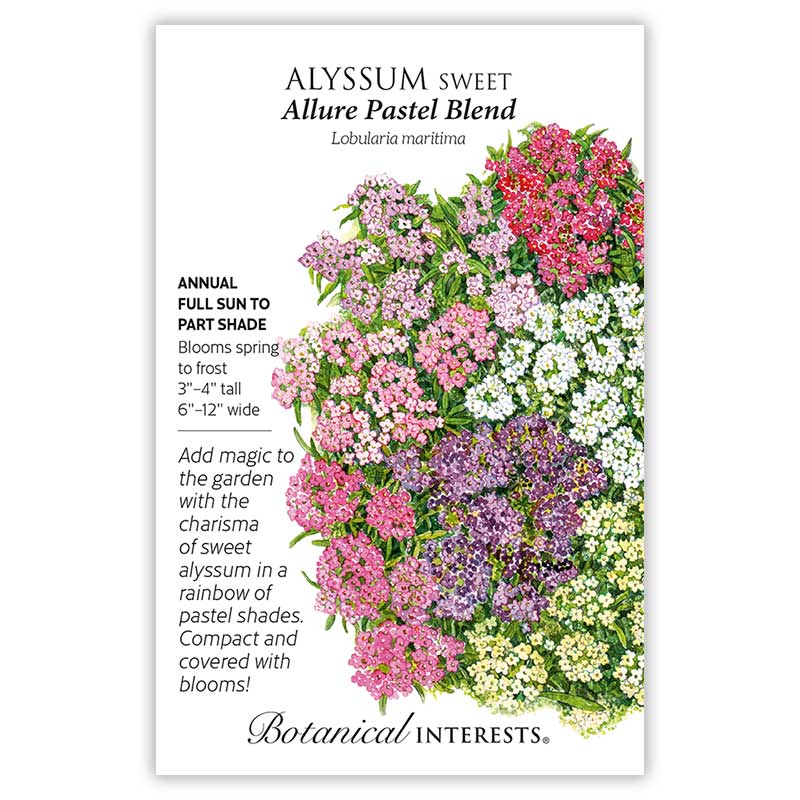 Alyssum Sweet Allure Pastel Blnd