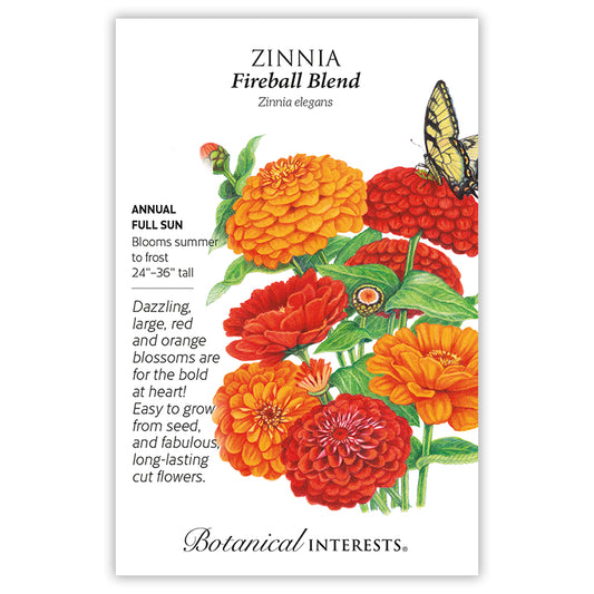 Zinnia Fireball Blend