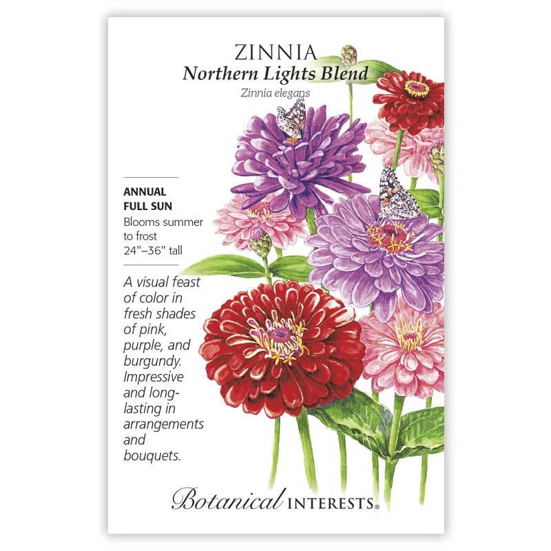 Zinnia Northern Lights Blend