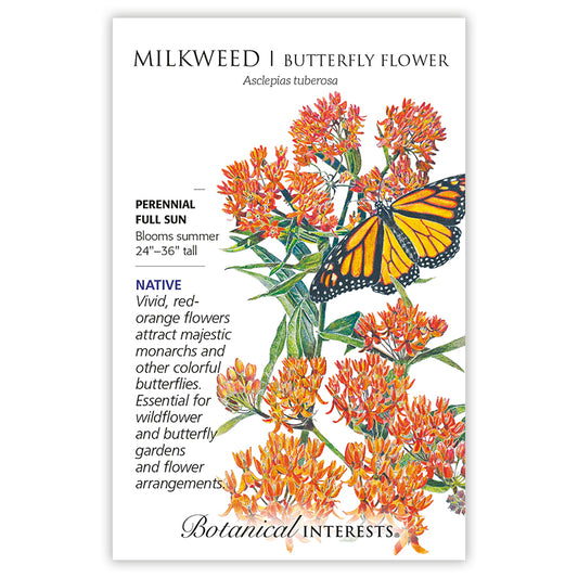 Milkweed Butterfly Flower