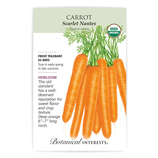 Carrot Scarlet Nantes Organic