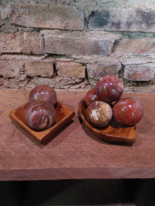 Petrified Wood Spheres - 50mm