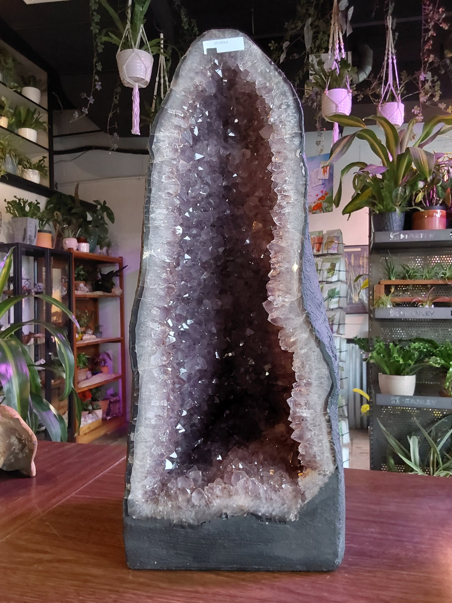Amethyst Cathedral - 57.1 lbs