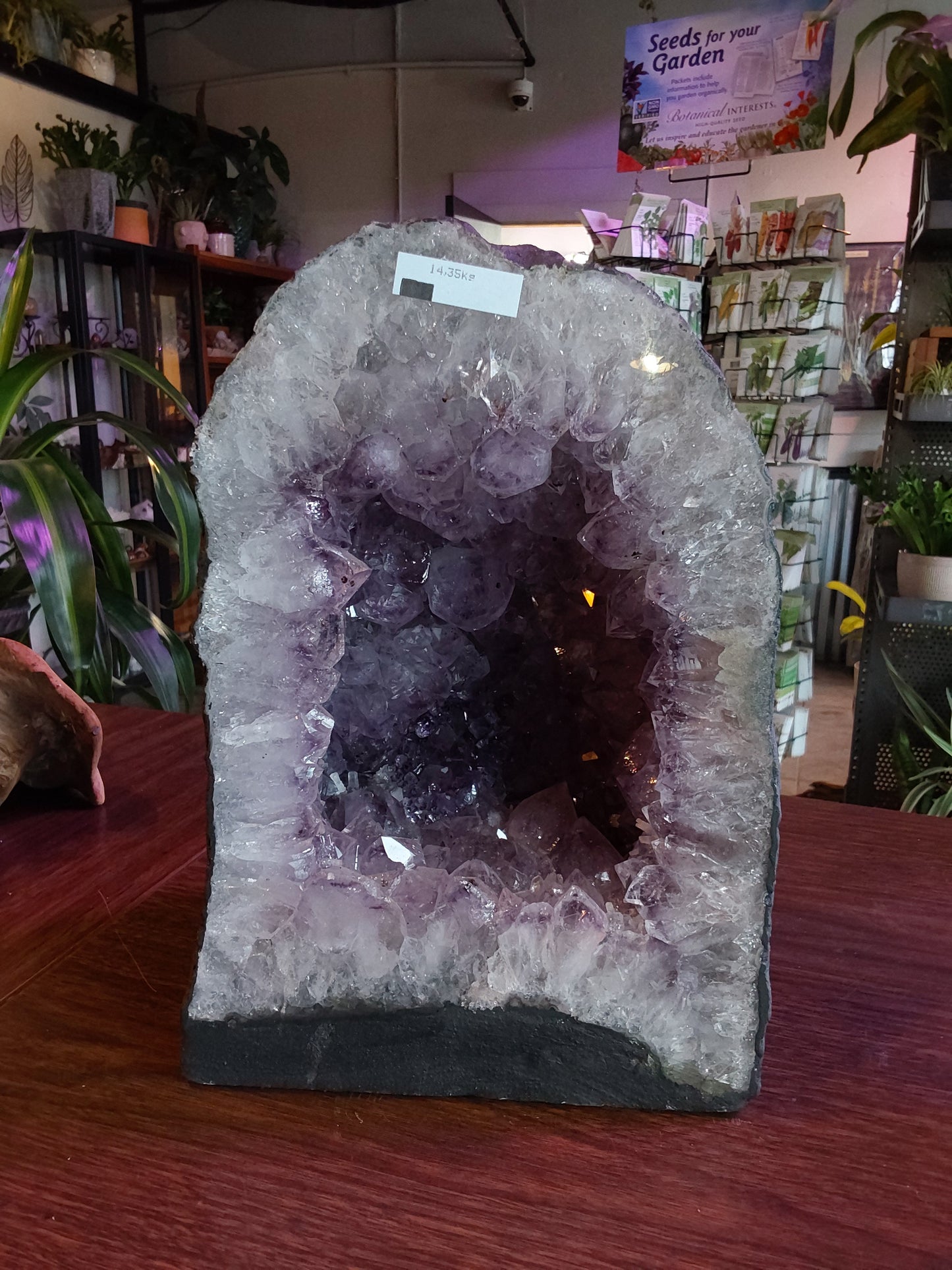 Amethyst Cathedral - 31.6 lbs