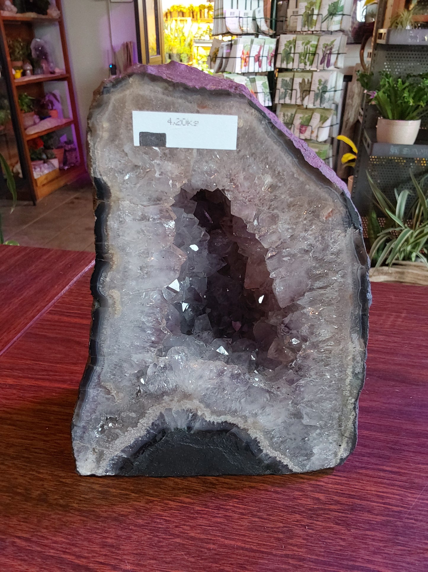 Amethyst Cathedral - 9.2 lbs