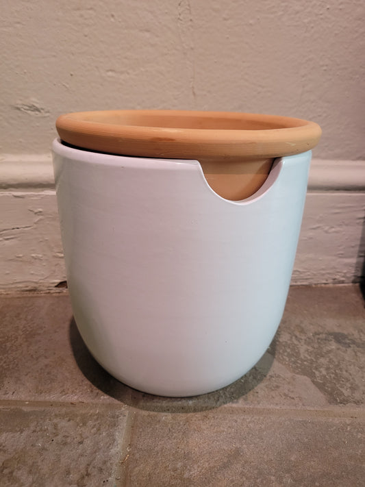 Self Watering Egg