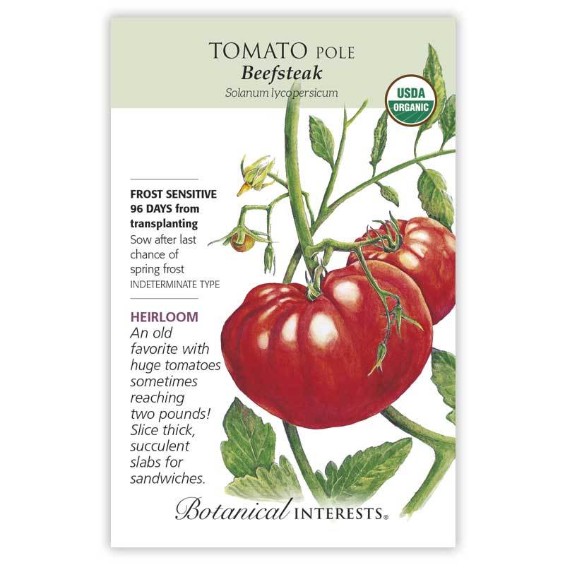 Tomato Pole Beefsteak Organic