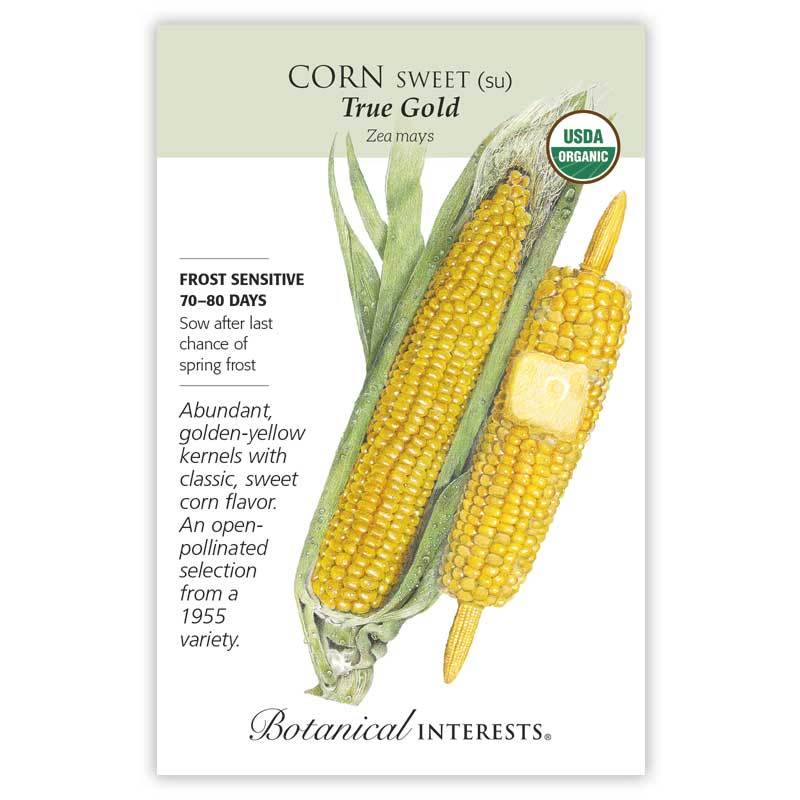 Corn Swt (yellow) True Gold